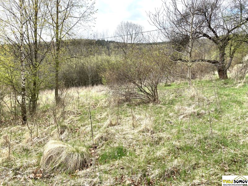 Pozemok vhodný na výstavbu chalupy, Horný Tisovník, okres Detva