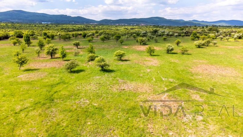 Pozemok v Modre s výmerou až 5.666 m2