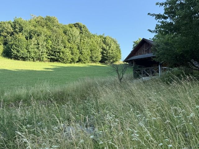 Veľký rekreačný pozemok s chatkou, Streženice (Púchov), 2400 m2