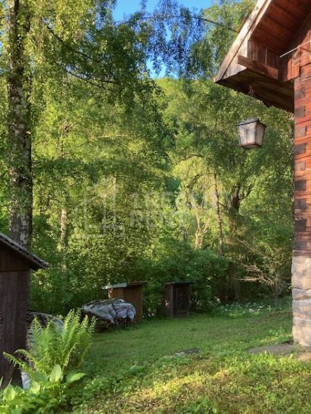 Predaj: Drevenica s veľkým pozemkom v Terchovej-časť Šípková (MO) - Drevenica Šípková Terchová