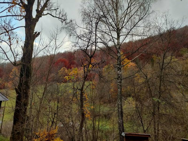 Predaj: Drevenica s veľkým pozemkom v Terchovej-časť Šípková (MO) - Drevenica Šípková Terchová