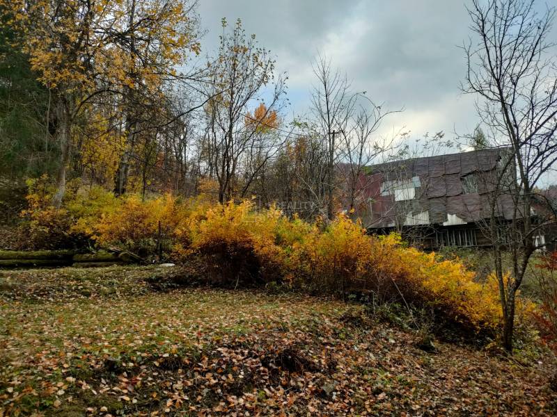 Predaj: Drevenica s veľkým pozemkom v Terchovej-časť Šípková (MO) - Drevenica Šípková Terchová