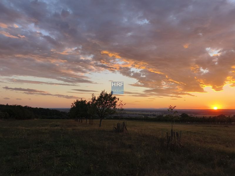 Na predaj pozemok vo vinohradníckej oblasti Kravie hory, v Skalici