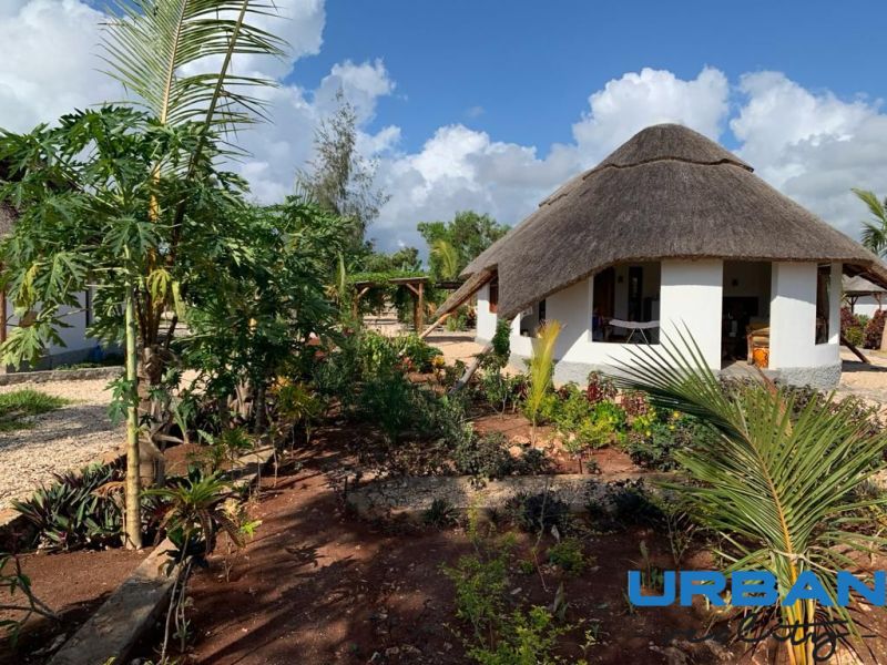 ZARIA GARDEN BUNGALOWS - Bungalov na ulici Zaria Garden Bungalows obklopený tropickou záhradou, výstavba domov na vidieku.