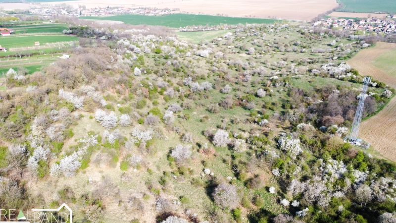 PREDAJ-KUS KRAJINY pozemok s rozlohou 296 451 m² Čifáre pri Nitre