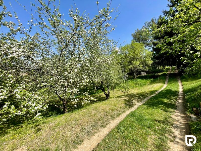 Záhrada 353m2, v zahrádkárskej oblasti Chrásť - Trenčín