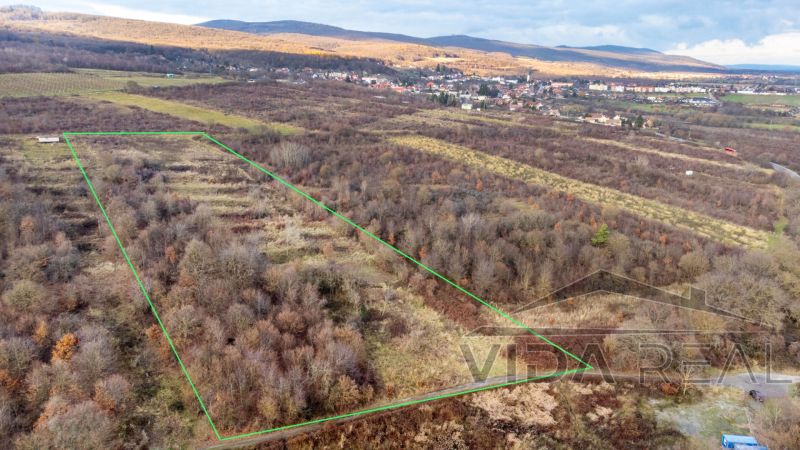  Stavebné pozemky 11 558 m² v atraktívnej lokalite Častá – Píla - Pozemky - bývanie v Častej s bujnou vegetáciou a širokým výhľadom na okolitú krajinu.