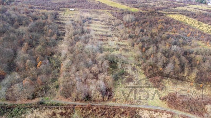  Stavebné pozemky 11 558 m² v atraktívnej lokalite Častá – Píla - Lúka s roztrúsene vyrastenými stromami vhodná na pozemky na bývanie v Častej.