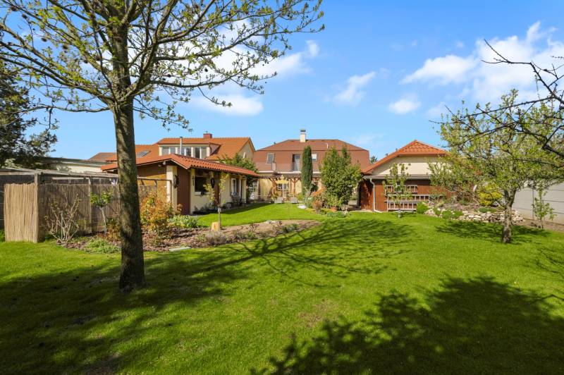 Priestranný 7-izbový dom na skok od centra – Senec - Záhrada rodinného domu v Senci s udržiavaným trávnikom a niekoľkými stromami.