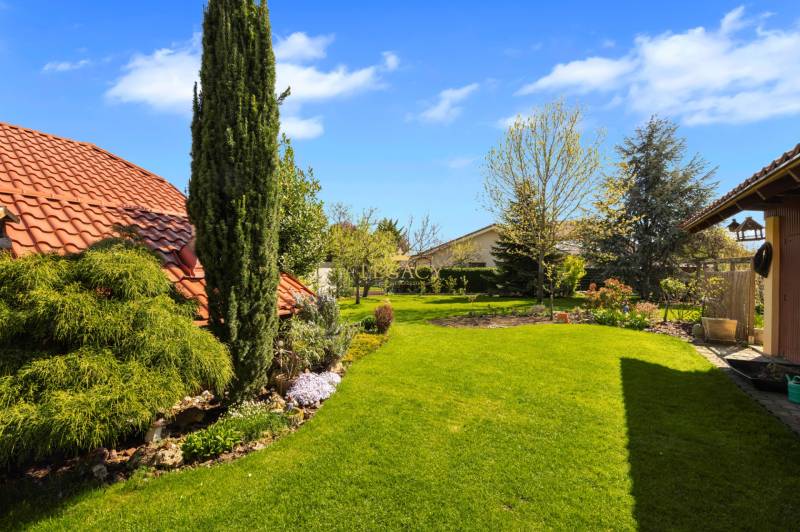 Priestranný 7-izbový dom na skok od centra – Senec - Záhrada rodinného domu v Senci s rozkvitnutými stromami a zeleným trávnikom.