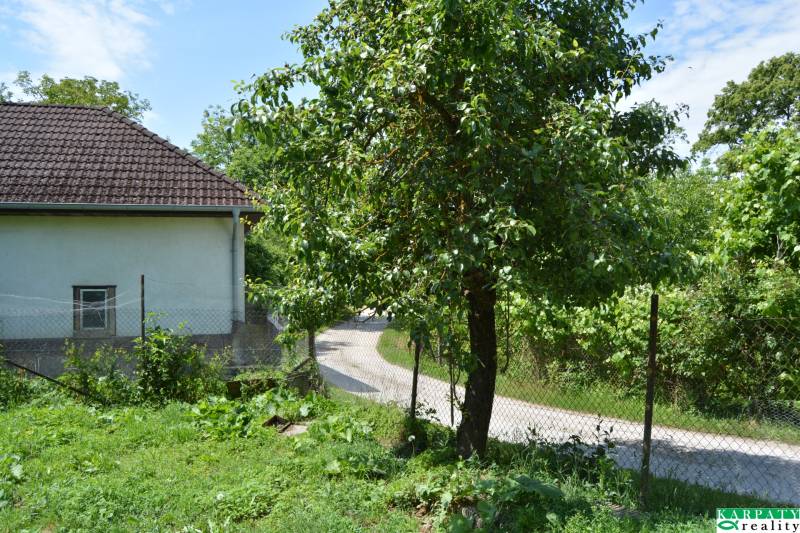 Domček na chalupárčenie pod starou morušou! - Rodinný dom v Krajnom s cestou, trávnikom a stromami za plotom.