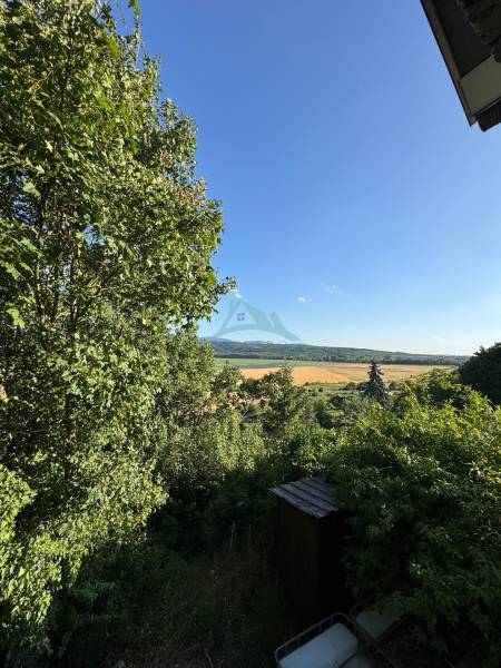 Predám vinicu s chatkou v Šahách – ideálne miesto pre oddych! - Výhľad na okolitú krajinu z chaty na Tešmakeskej ceste v Šahách, obklopený zeleňou.
