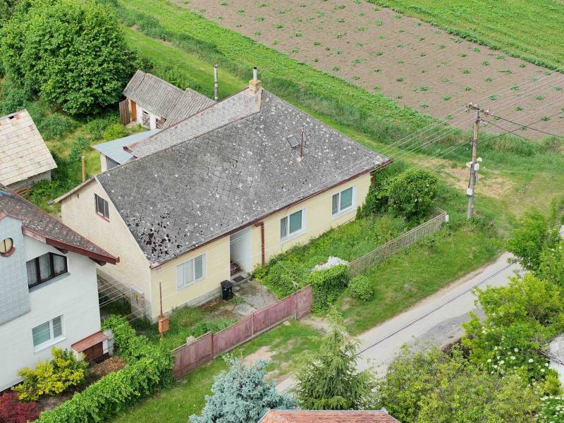 Dulovce - RODINNÝ DOM so 700 m2 POZEMKOM - Rodinný dom v Dulovciach s rozľahlou záhradou a okolím.