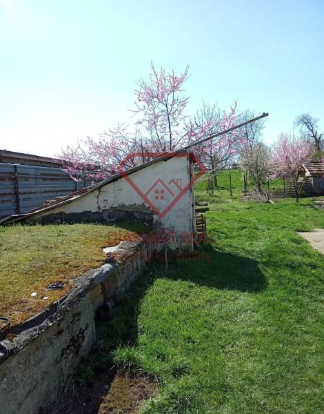 Na predaj stavebný pozemok 3655 m2 Zemianske Sady okr. Galanta  - Záhrada s rozkvitnutými stromami pri rodinnom dome na ulici Zemianska v Zemianskych Sadoch.