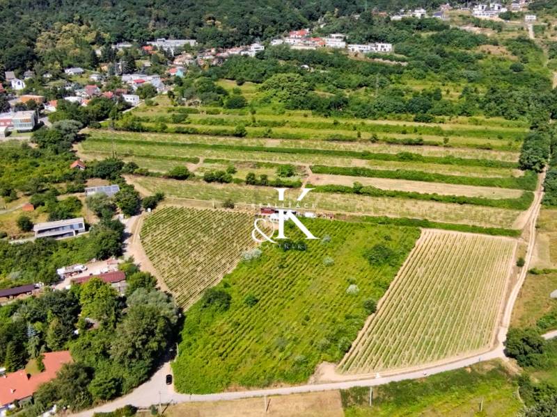 NA PREDAJ pozemky Vinohrady, BA III - Ahoj Briežky - Vinice v Bratislave - Ahoji, obklopené zeleňou a blízkosťou k domom a lese.