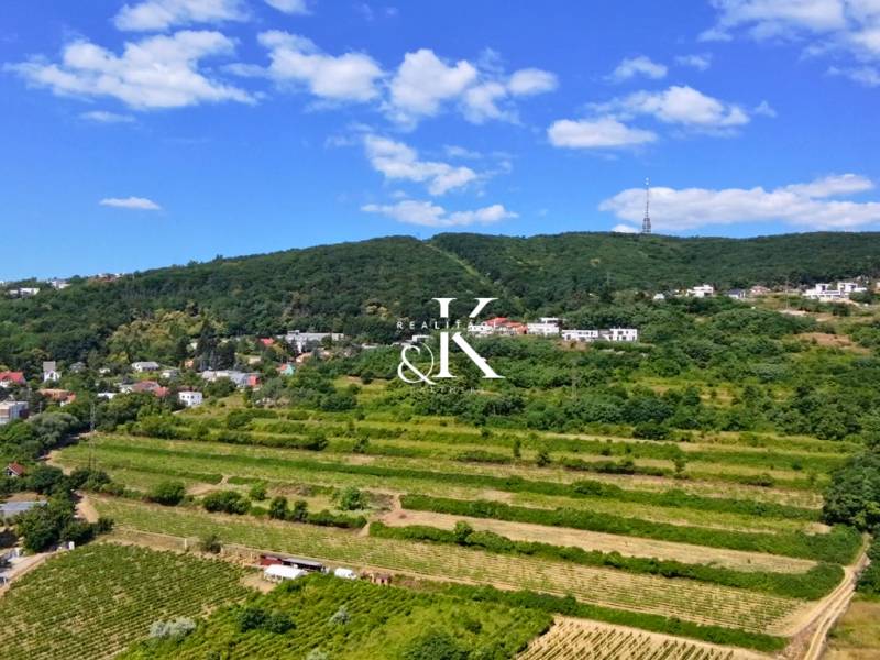 NA PREDAJ pozemky Vinohrady, BA III - Ahoj Briežky - Vinice rozprestierajúce sa v Bratislave - Ahoj pod modrou oblohou, s výhľadom na lesy.