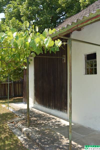 Chalúpka v typickom štýle Záhoria, pod starou lipou! - Rodinný dom v Borskom Svätom Jure s drevenými dverami a viničom na verande.
