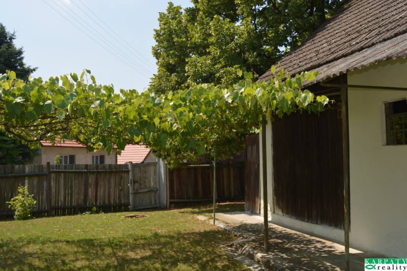 Chalúpka v typickom štýle Záhoria, pod starou lipou! - Rodinný dom v Borskom Svätom Jure s dvorom, viničová pergola a plot.