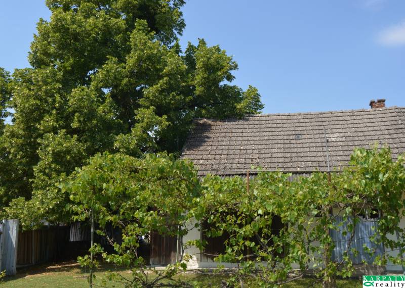 Chalúpka v typickom štýle Záhoria, pod starou lipou! - Rodinný dom v Borskom Svätom Jure s hliníkovou strechou obklopený zeleňou a viničom.