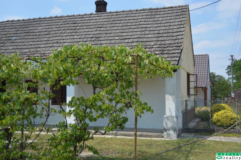 Chalúpka v typickom štýle Záhoria, pod starou lipou! - Rodinný dom v Borskom Svätom Jure so starou strechou a viničom na dvore.