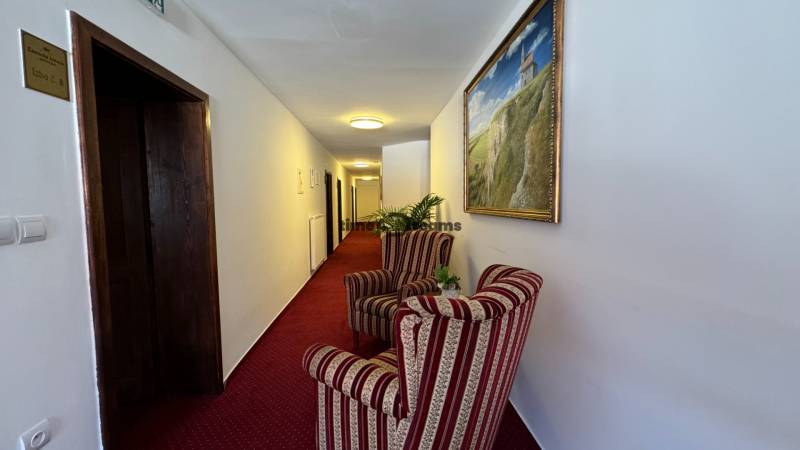 NA PREDAJ hotel s reštauráciou - Chodba s dvoma kreslami, obrazom, červeným kobercom v hoteli. Tradičný hotelový interiér.