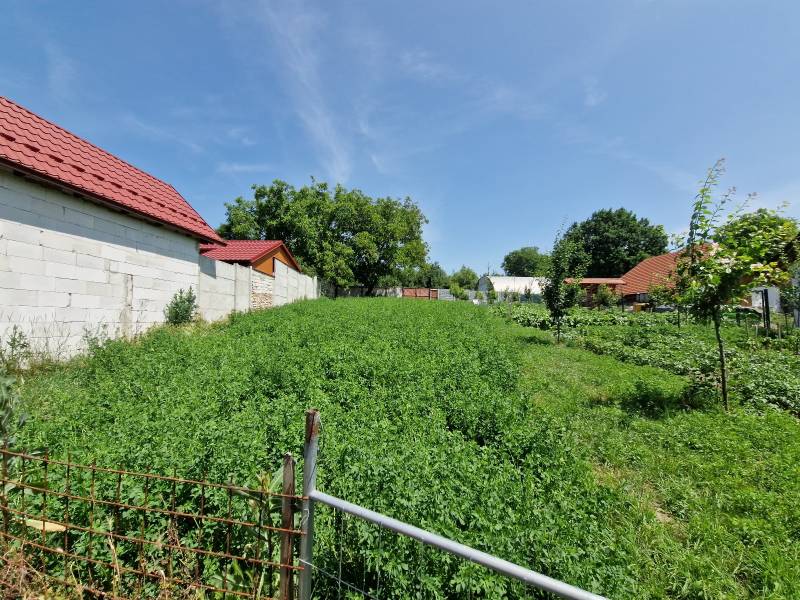 NA PREDAJ RODINNÝ DOM V OBCI ŠTEFANOV, OKRES SENICA - Záhrada s trávnikom a stromami v Štefanove, vedľa rodinného domu, modrá obloha.