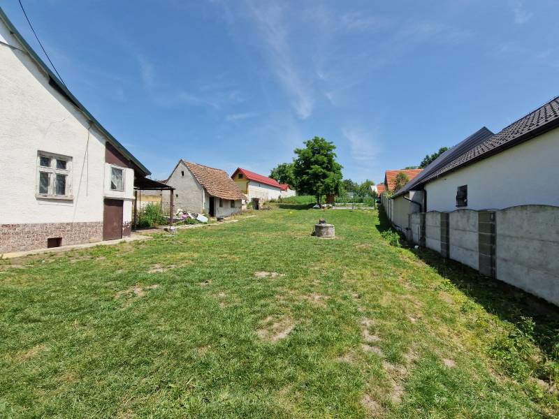 NA PREDAJ RODINNÝ DOM V OBCI ŠTEFANOV, OKRES SENICA - Záhrada pri rodinnom dome v Štefanove, s trávnatom a stromom uprostred.