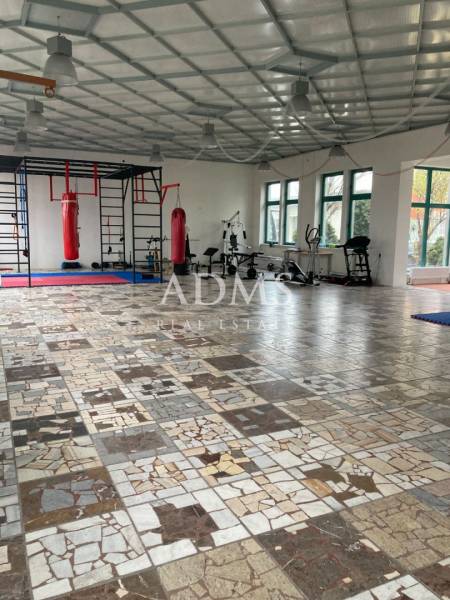 Administratívna budova  - Priestranné kancelárie s boxovacími vrecia a fitnes vybavením, dlažba z rôznych druhov mramoru.