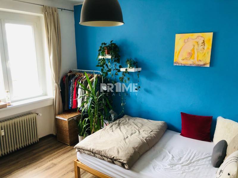 Pekná slnečná garsónka vhodná ako investičný byt na krákodobý prenájom - Garsónka s modrou stenou, posteľou, rastlinami a šatníkom pri okne.