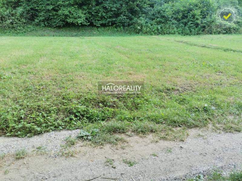 Predaj, pozemok pre rodinný dom   1210 m2 Modrová - Pozemky - bývanie v Modrovej zahŕňajú trávnatú plochu pri lese s cestou.