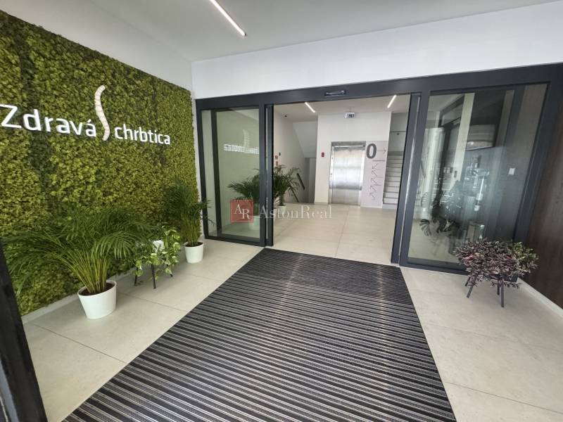 PRENÁJOM: Administratívne, kancelárske priestory - J. Jančeka - Recepcia v kanceláriách s rastlinami a označením 