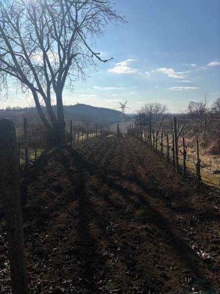 PREDAJ, PODLUŽANY - VINIČNÝ DOMČEK S VINOHRADOM - Vidiecky výhľad na rekreačné pozemky s cestou, stromami a kopcom v pozadí.