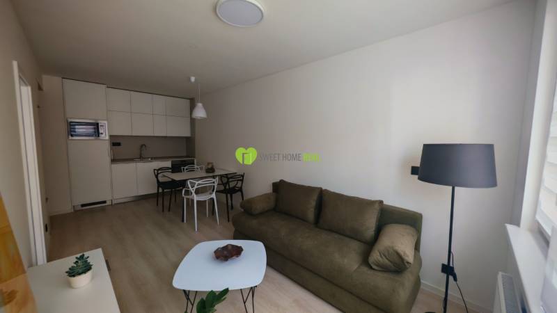 TOP ! na prenájom 1,5i luxusný, klimatizovaný apartmán Košice - Krivá  - Obývačka v 1-izbovom byte s kuchynským kútom, stolom, pohovkou a stojacou lampou.