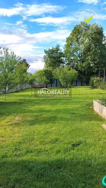 REZERVOVANÉ - Predaj, rodinný dom Kalinovo - EXKLUZÍ... - Záhrada pri rodinnom dome v Kalinove s trávnikom a ovocnými stromami.