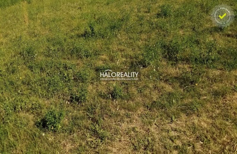 Predaj, pozemok pre rodinný dom 760 m2 Lubina