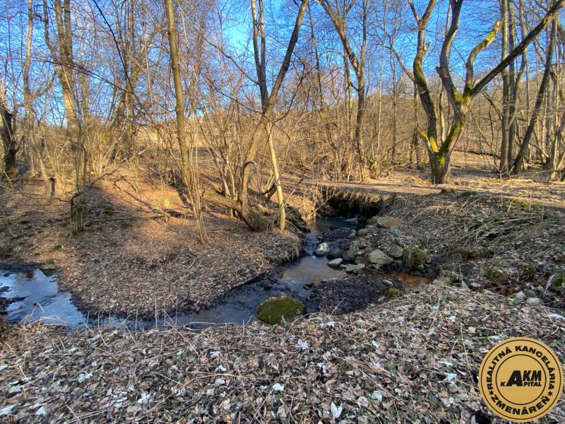 Stavebný pozemok 1750  m2 Zvolen obec Kalinka Detva na predaj - Lesná krajina s potokom, ideálna pre výstavbu domov, obklopená prírodou.