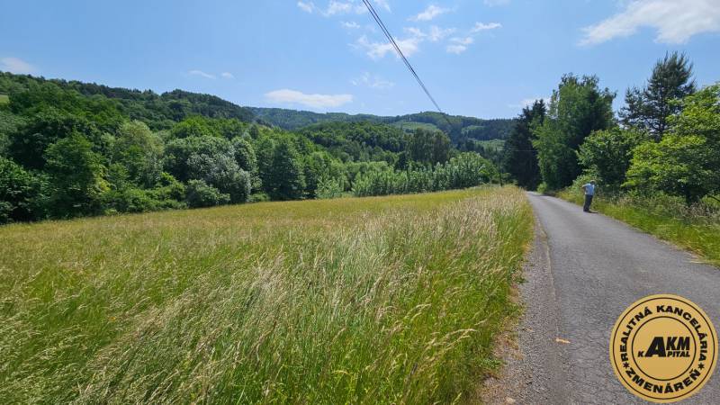 Stavebný pozemok 1750  m2 Zvolen obec Kalinka Detva na predaj - Cesta vedie pozdĺž lúky a lesa v okolí Zvolena, pozemky - bývanie.