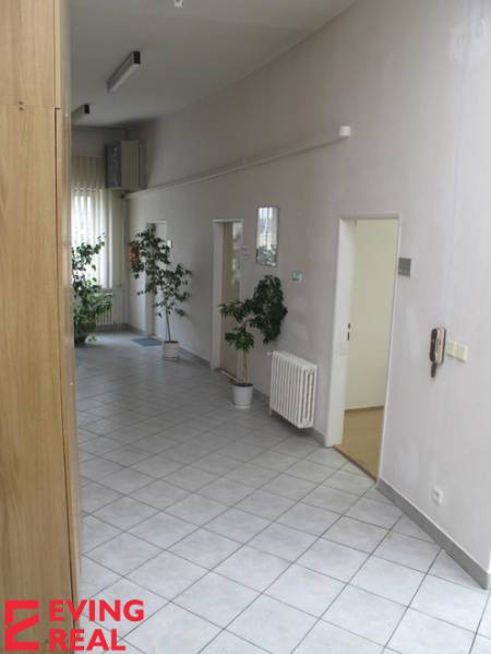 Kancelária 20 m2, Wolkrova ul., Petržalka - Kancelárie s bielymi stenami, kvetinami a dverami na prenájom.