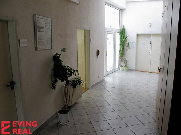 Kancelária 20 m2, Wolkrova ul., Petržalka - Interiér Kancelárie s dlažbou, izbovými rastlinami a veľkými oknami.