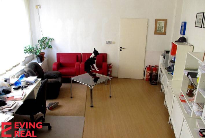 Kancelária 20 m2, Wolkrova ul., Petržalka - Kancelárie s pohovkou, stolom a poličkami, v strede pes na stole.