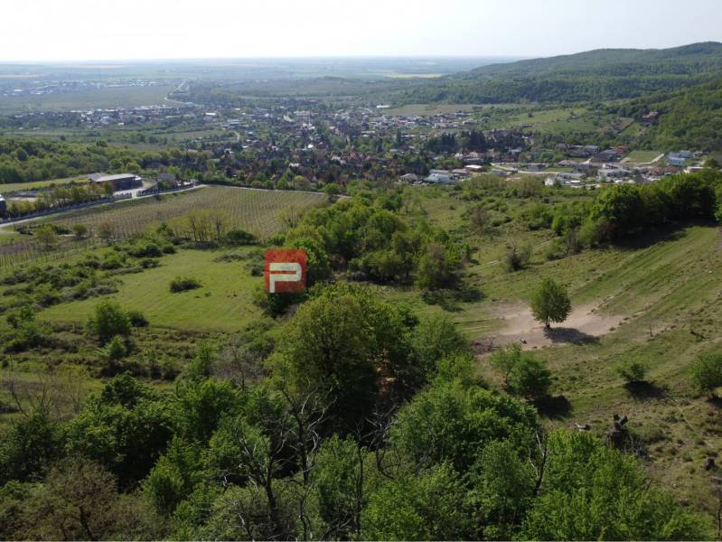 Exkluzivny pozemok Limbachu - Limbach: Záber na pozemky - bývanie s pohľadom na okolitú krajinu a vinice.