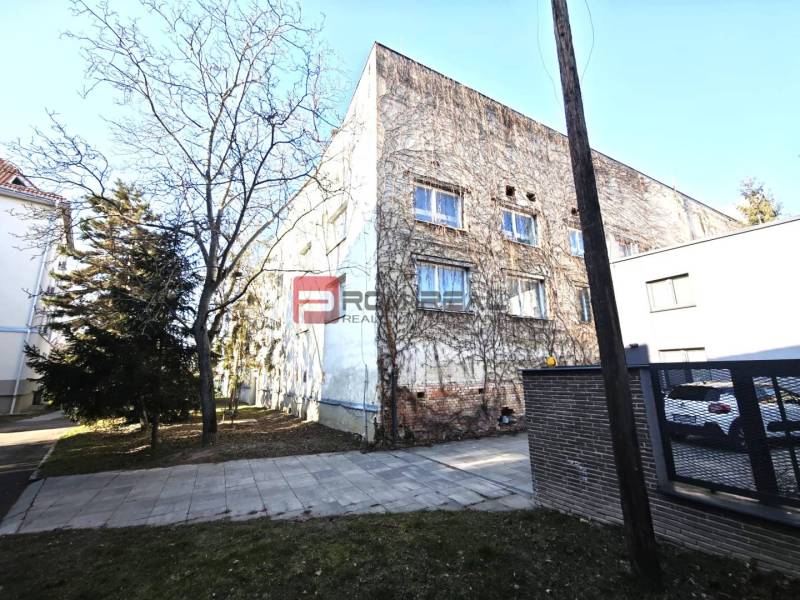 EXKLUZÍVNA INVESTÍCIA: MULTIFUNKČNÁ BUDOVA NA PREDAJ, TRNAVA - Budova na ulici Ľ. Podjavorinskej pokrytá popínavými rastlinami, vedľa stojí strom.