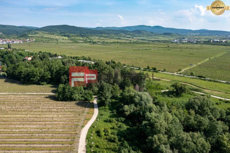 PREDAJ 3i byt, 65 m2, Prémiová novost. Zelené Nivy, Pezinok - Letecký pohľad na vinice pri Limbašskej ceste v Pezinku, ideálne miesto pre 3-izbový byt.