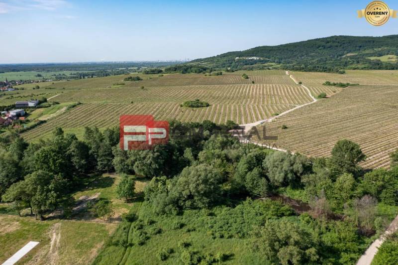 PREDAJ 3i byt, 65 m2, Prémiová novost. Zelené Nivy, Pezinok - Rozľahlé vinice, zelené polia, stromy pri Limbašskej ceste, ideálne pre 2-izbový byt.