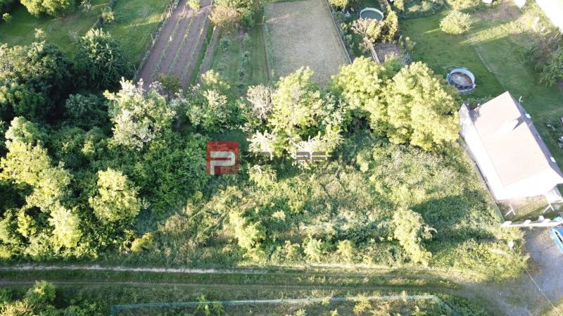 Výhodne predaj pozemku 82,90 €/m2, Budmerice - Letecký pohľad na zeleň a domy v Budmericiach na Poľnej, ideálne pre Pozemky - bývanie.