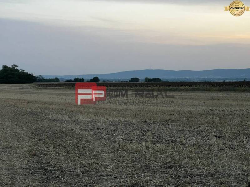 PREDAJ investičného pozemku Senec - Pohľad na poľnohospodárske a lesné pozemky na ulici Senecká pri západe slnka.