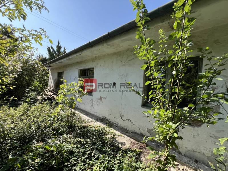 PREDAJ pozemku so starým domom CENTRUM Pezinok - Pozemky - bývanie na Holubyho ulici v Pezinku, okolité rastliny pri staršej budove.