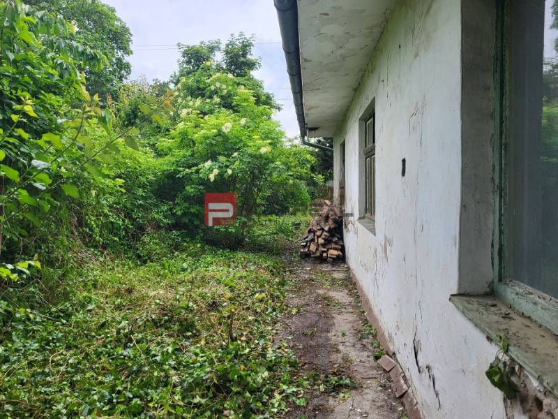 PREDAJ pozemku so starým domom CENTRUM Pezinok - Pozemok na Holubyho ulici v Pezinku, zarastený zeleňou, s vedľajšou budovou.