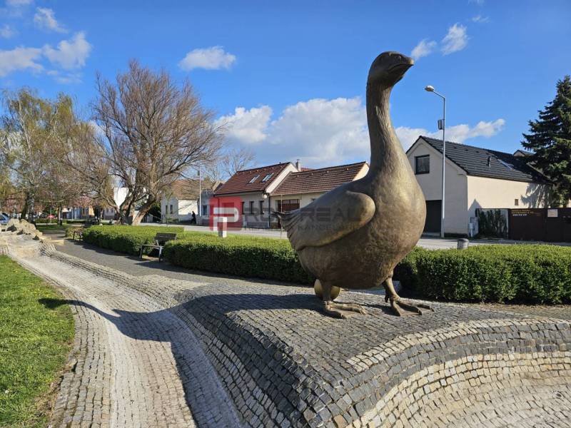 POZEMOK na prenájom 800m2 - Socha husi v Slovenskom Grobe, obklopená zeleňou a domami, Pozemky - komerčné.