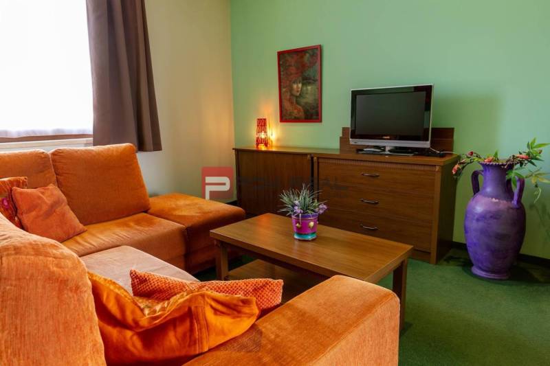 PREDAJ B&B Hotel v Starom meste - škola, centrum medicíny - Obývačka v Hotely a penzióny, so sedačkou, televízorom, obrazom a dekoráciami.